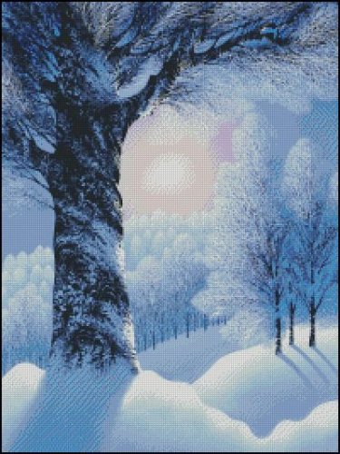 (image for) Warm Winter Sun